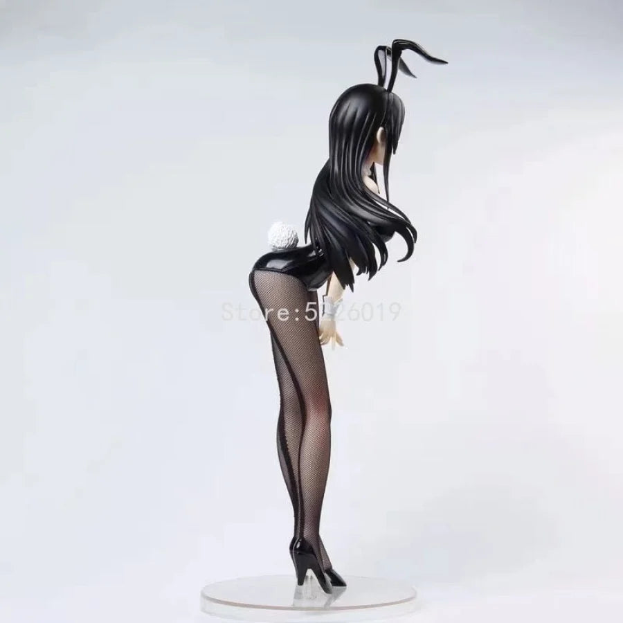 Rascal Does Not Dream / Seishun Buta Yarou Wa Bunny Girl Senpai No Yume Wo Minai - Mai Sakurajima