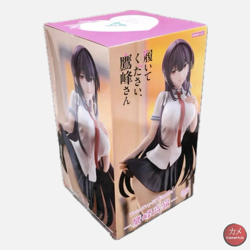 Please Put Them On Takamine San - Takamine Takane Action Figure FuRyu - Takamine Takane 19cm - Action Figure